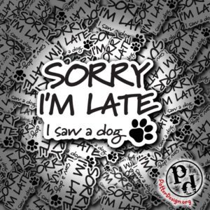 Sorry I'm Late